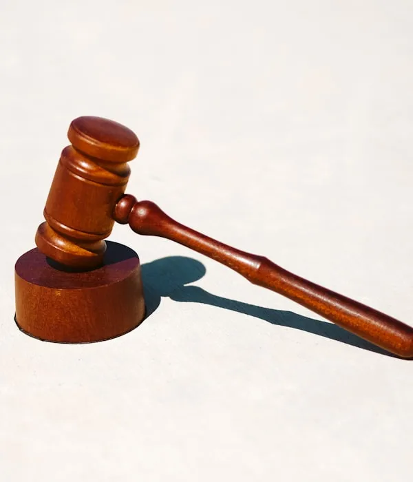 Lawyer consulting with client in professional office